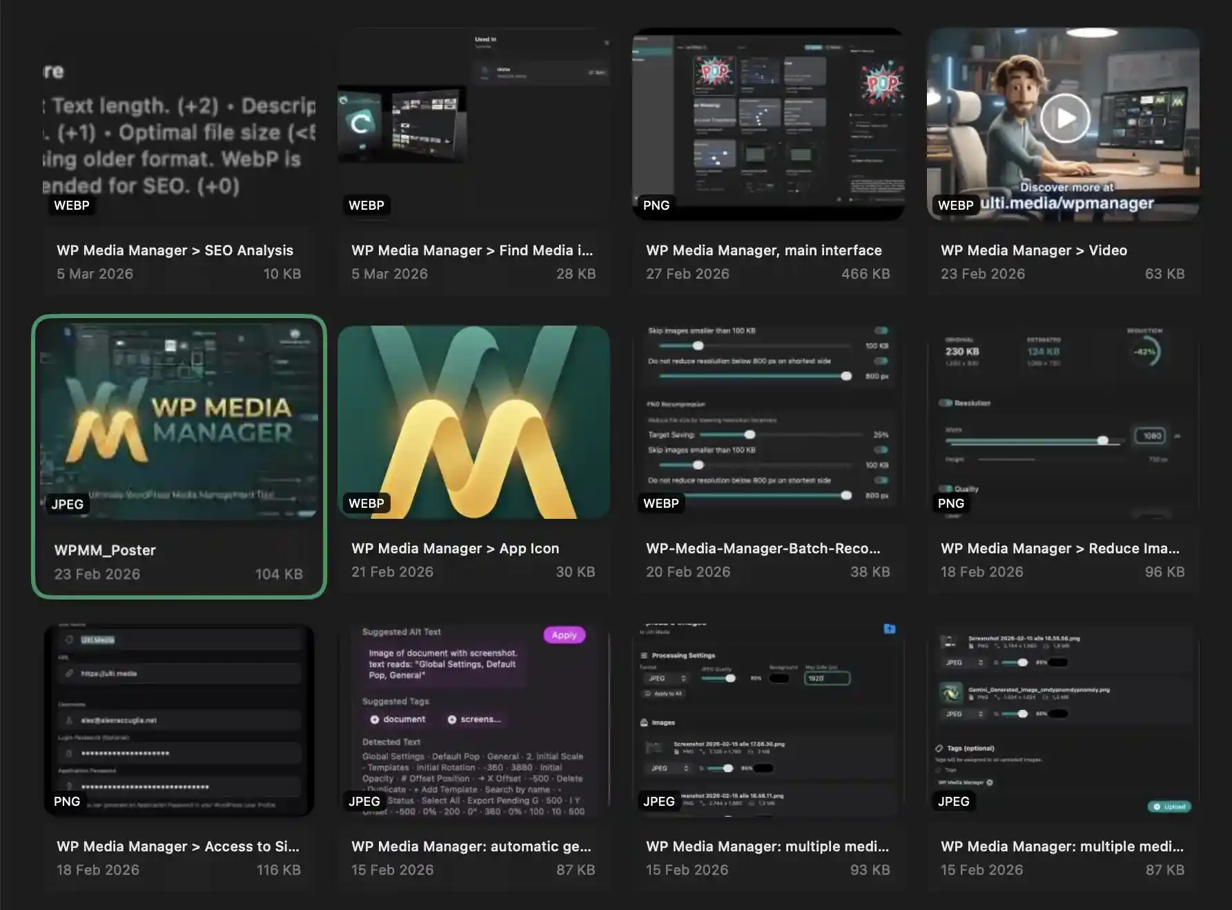 Media Library Grid and Selection